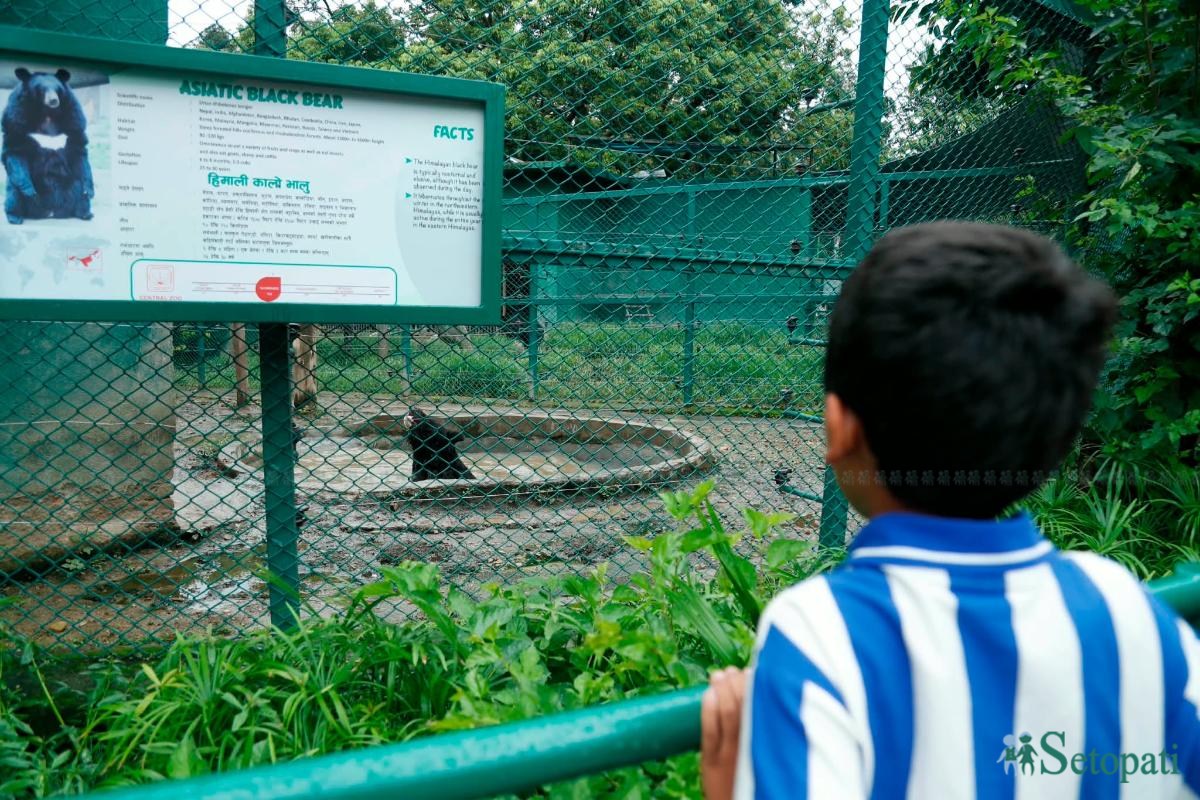 Central-Zoo-Reopens-01.jpeg
