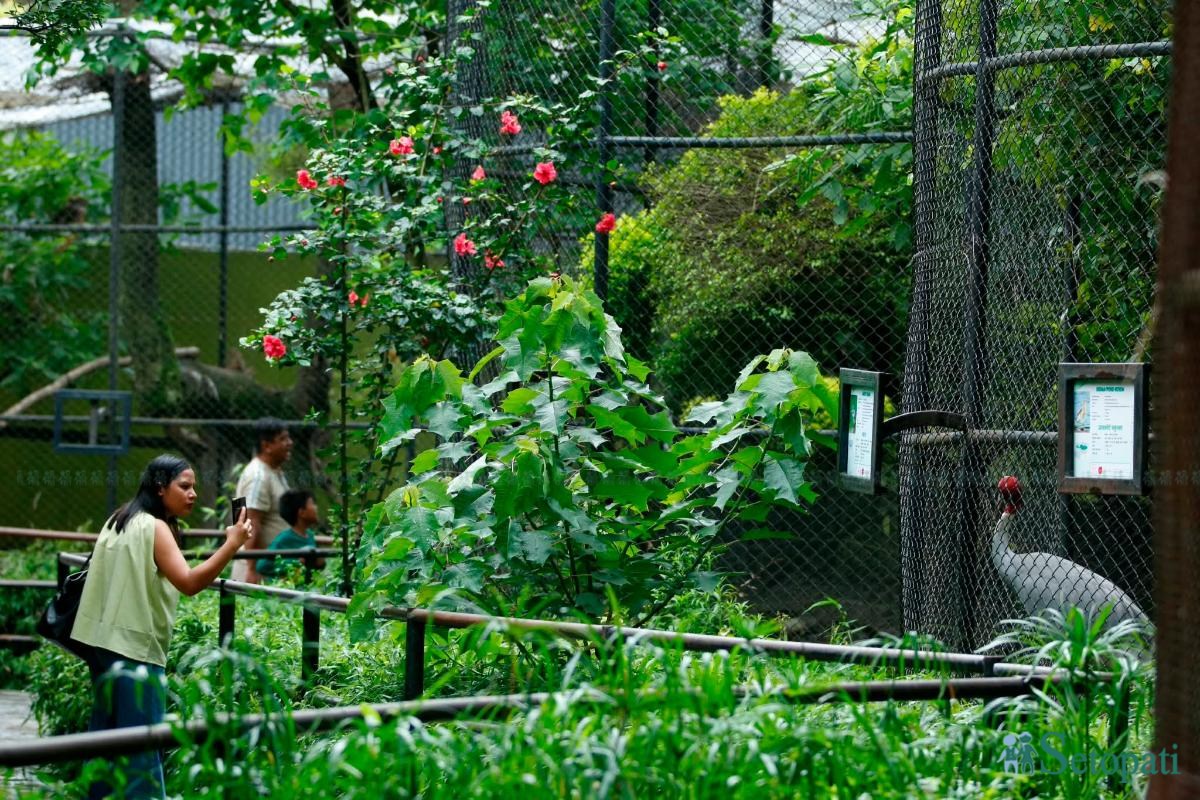 Central-Zoo-Reopens-03.jpeg
