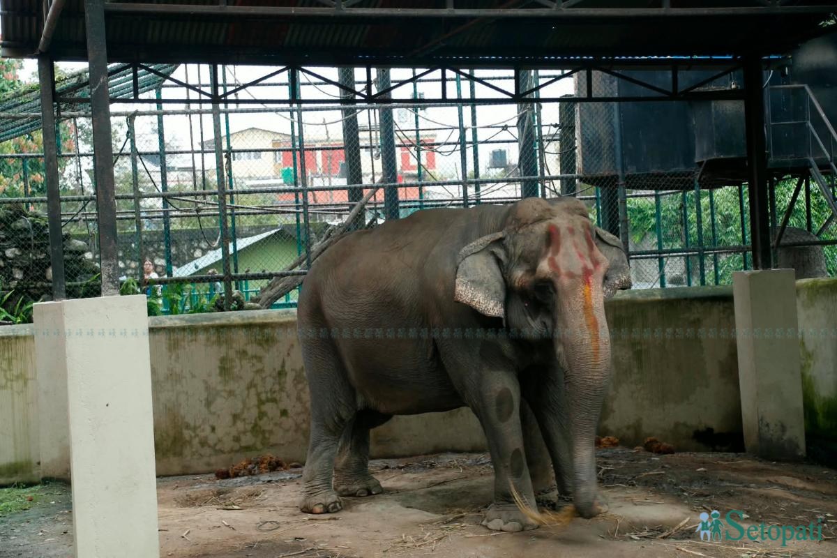 Central-Zoo-Reopens-05.jpeg