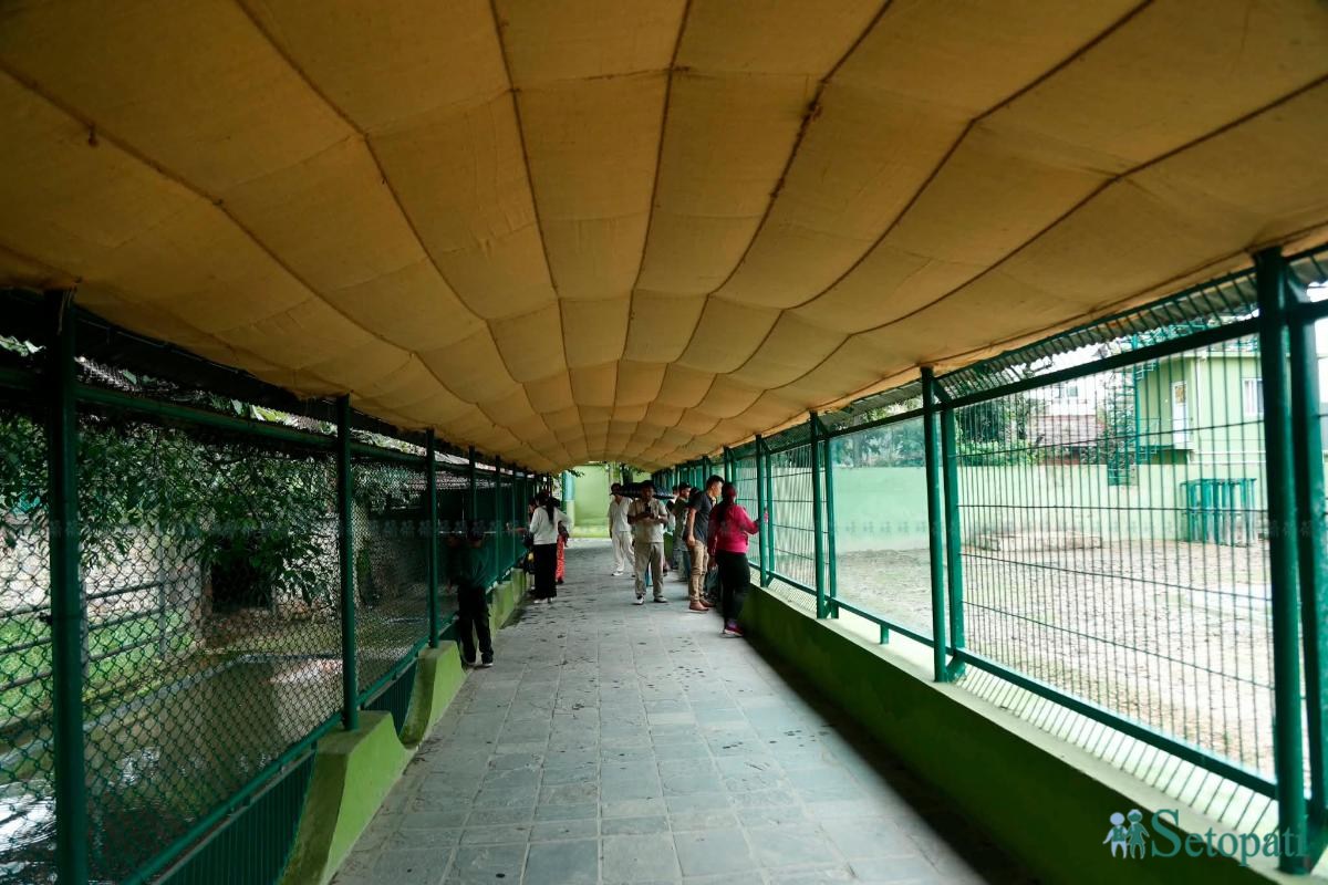 Central-Zoo-Reopens-08.jpeg