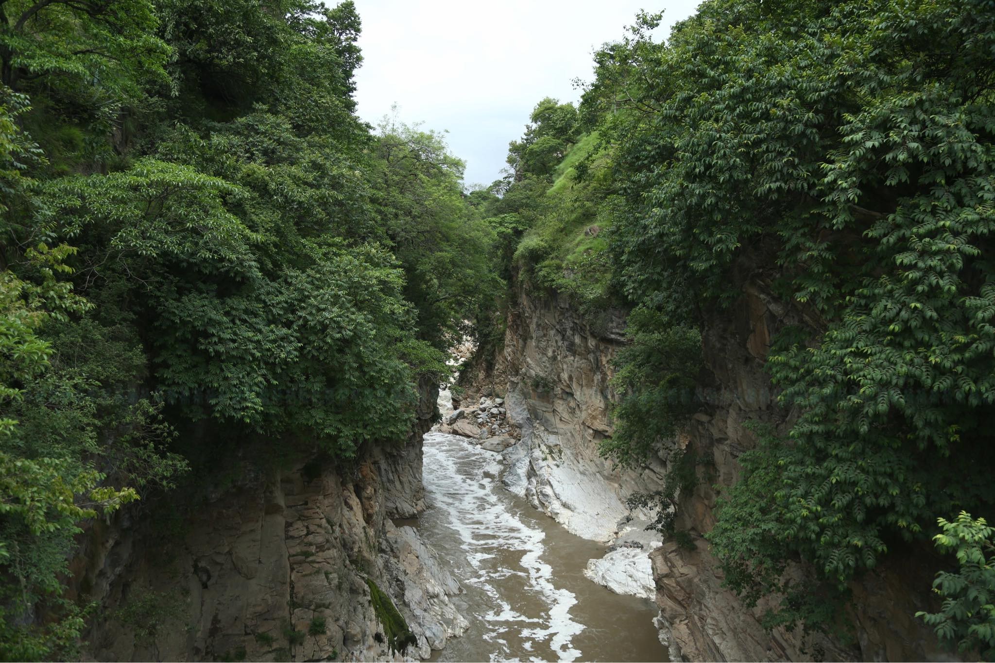 Chobhar-Gorge-Protest-11.jpeg