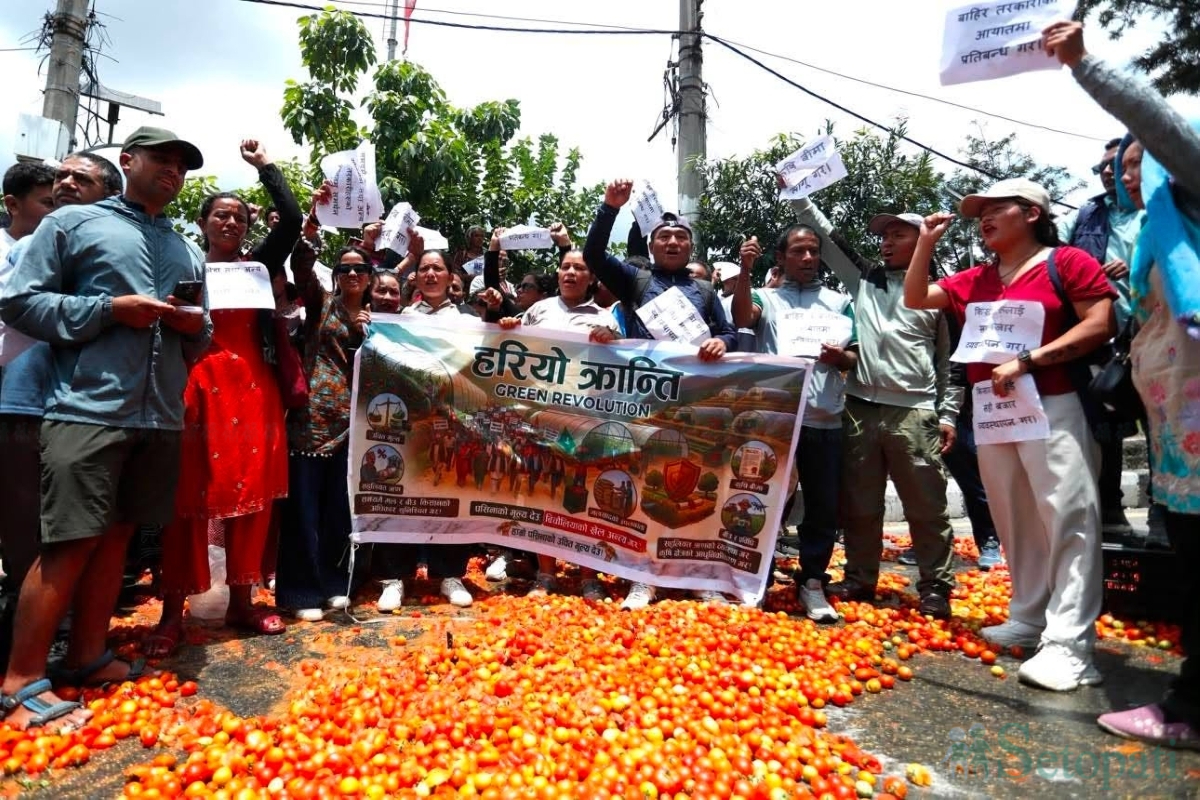 Farmers-Protest-Tomato-Price-04.jpg