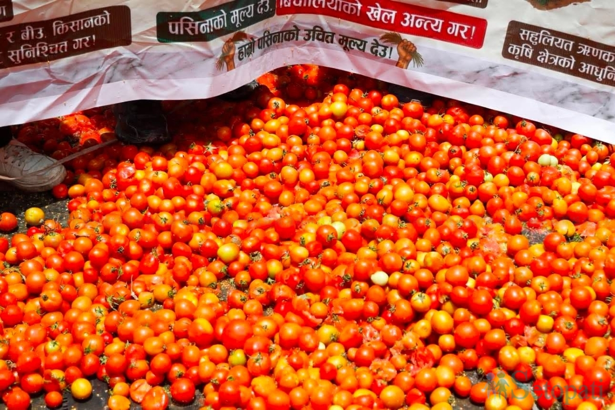 Farmers-Protest-Tomato-Price-05.jpg