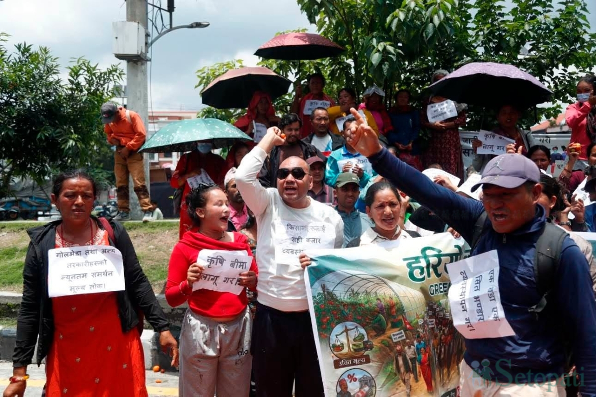 Farmers-Protest-Tomato-Price-07.jpg