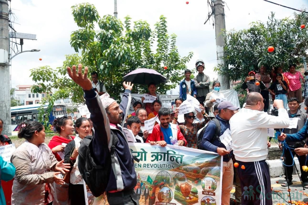 Farmers-Protest-Tomato-Price-08.jpg