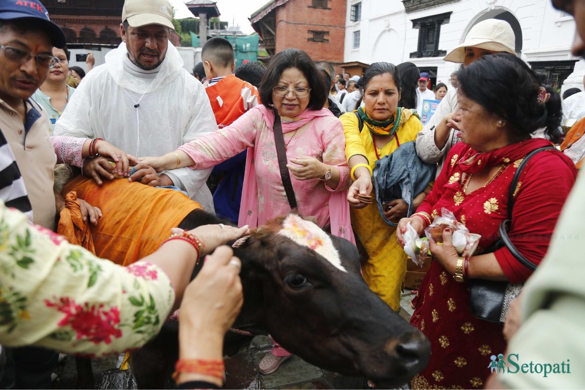 Gaijatra-Basantapur-18.jpeg