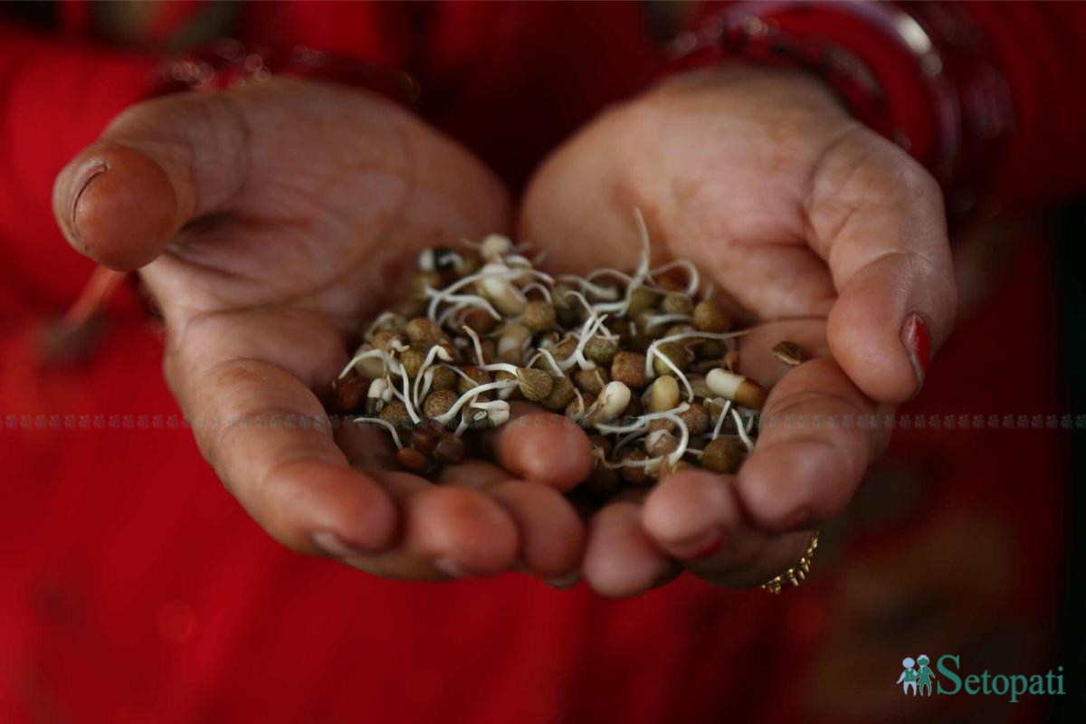 Gaura-Parva-Kathmandu-03.jpeg