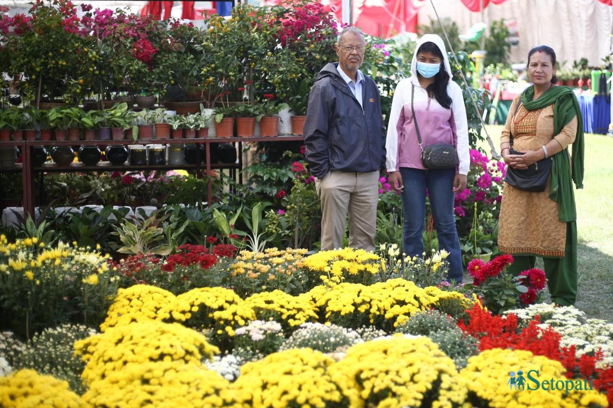 Godavari-Flower-Expo-05.jpeg