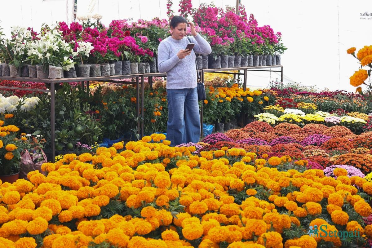 Godavari-Flower-Expo-06.jpeg