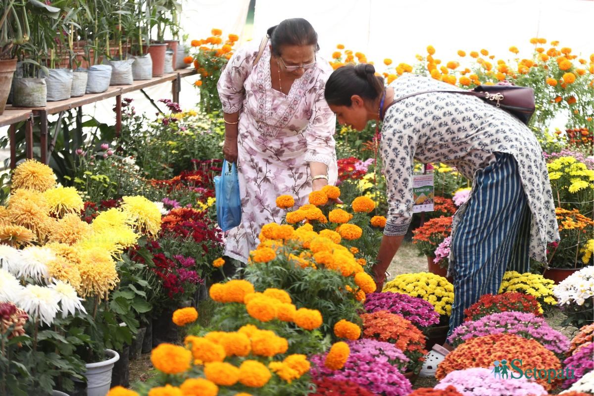 Godavari-Flower-Expo-07.jpeg