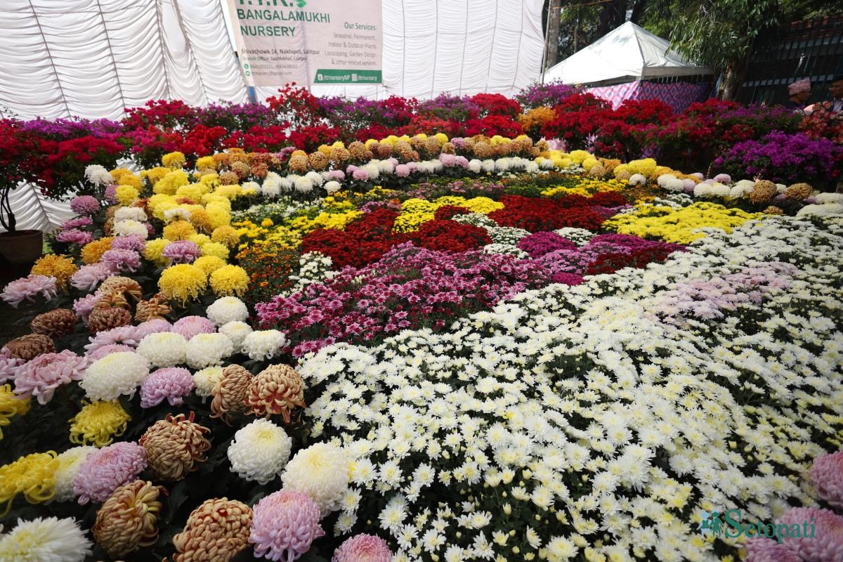 Godavari-Flower-Expo-12.jpeg