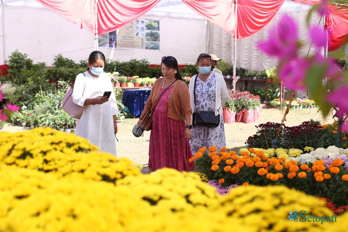 Godavari-Flower-Expo-13.jpeg