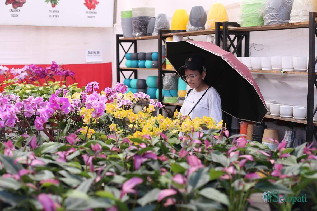 Godavari-Flower-Expo-14.jpeg