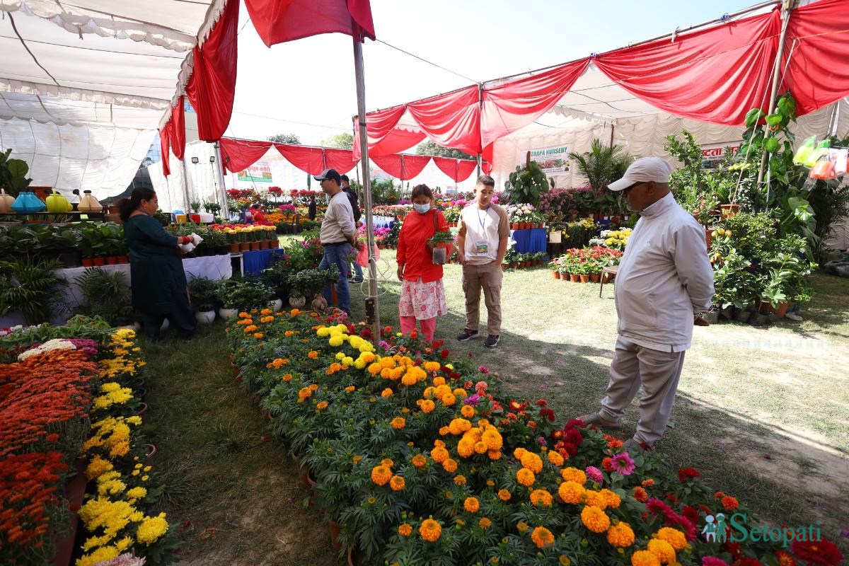 Godavari-Flower-Expo-15.jpeg