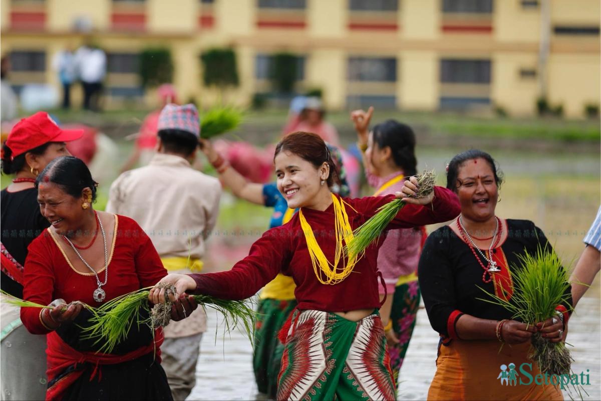 Khumaltar-Paddy-Day-05.jpeg