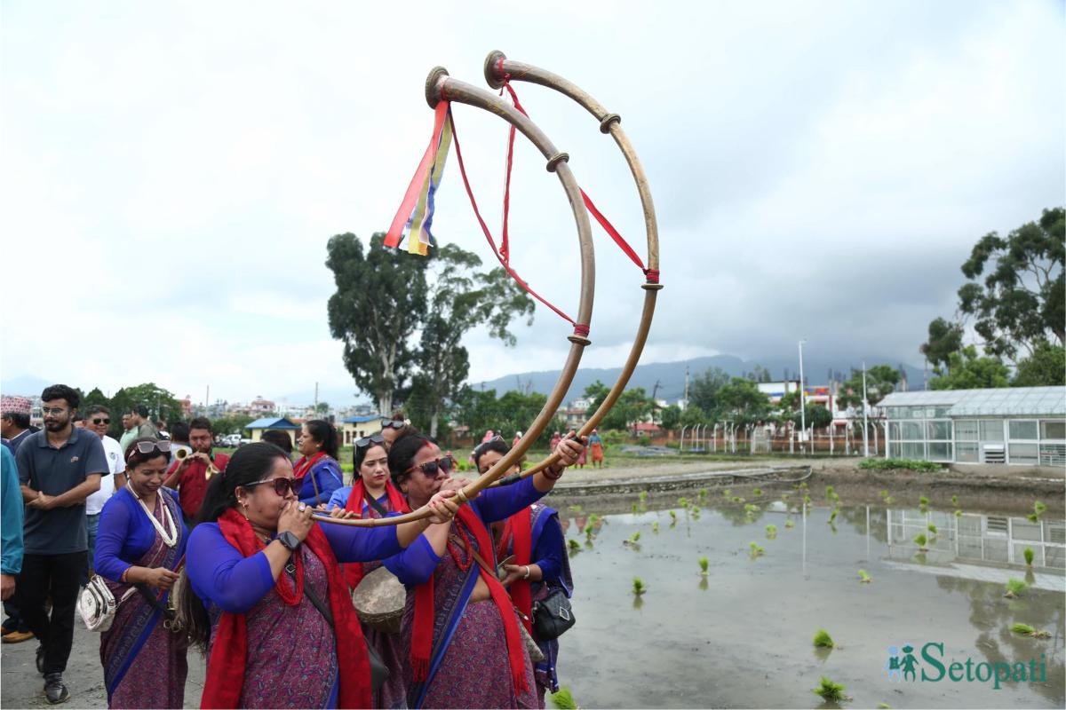 Khumaltar-Paddy-Day-09.jpeg