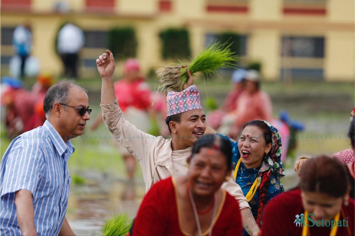 Khumaltar-Paddy-Day-16.jpeg
