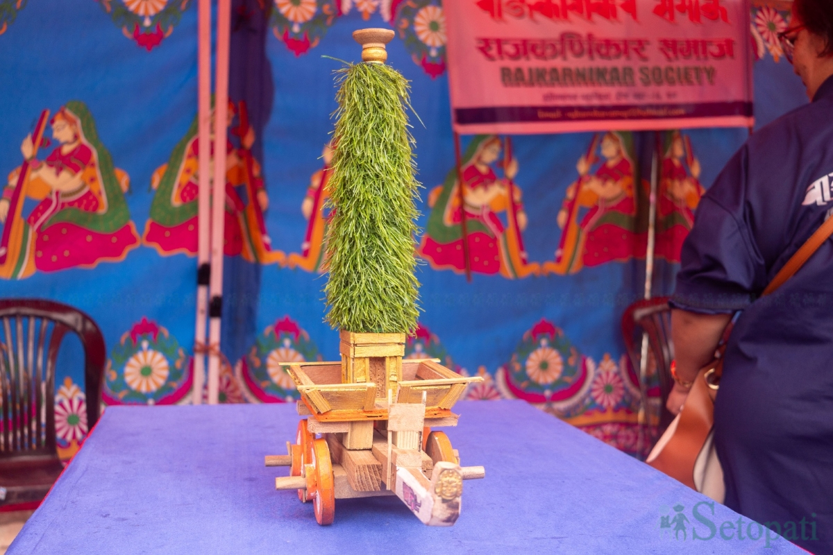 Newa-Festival-09.jpg