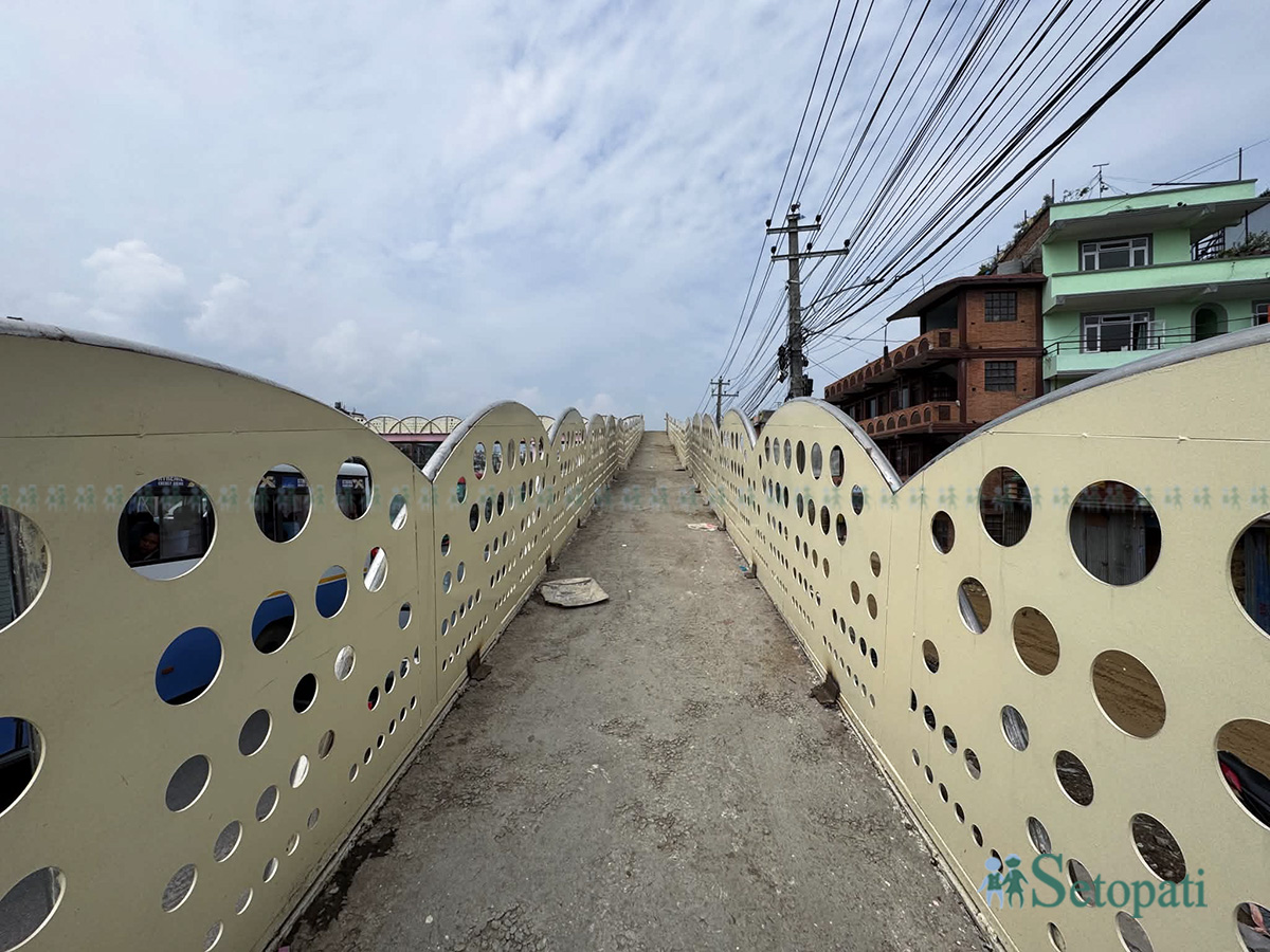 Sanepa-Overhead-Bridge-01.jpg
