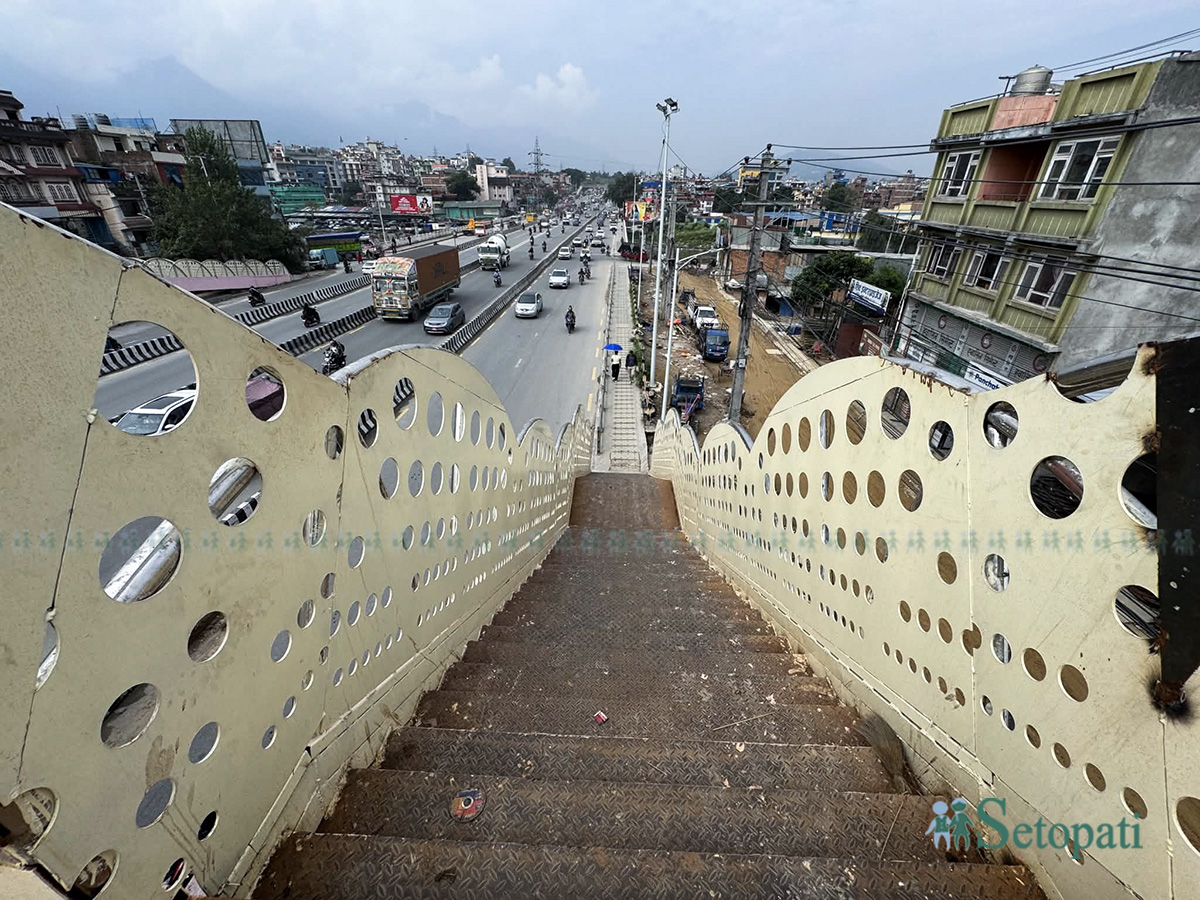 Sanepa-Overhead-Bridge-02.jpg