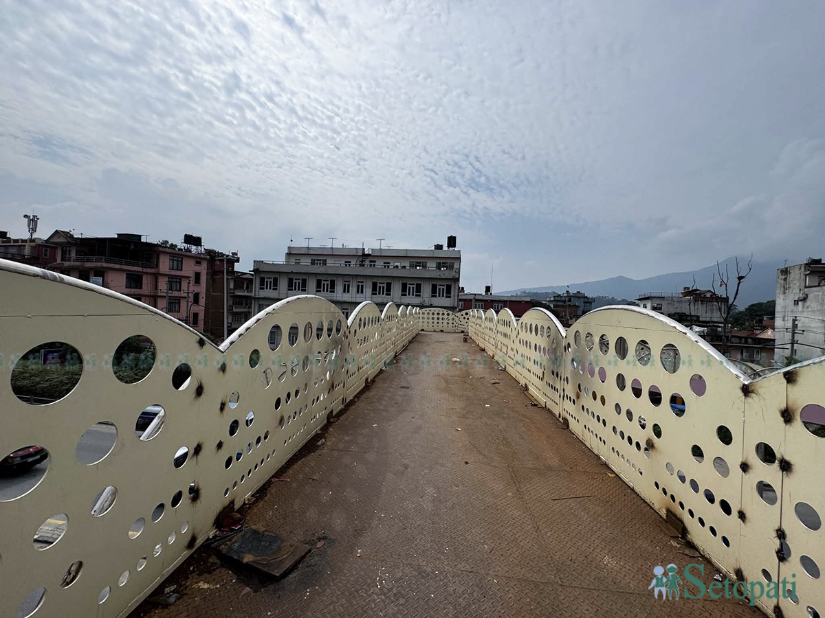 Sanepa-Overhead-Bridge-09.jpg
