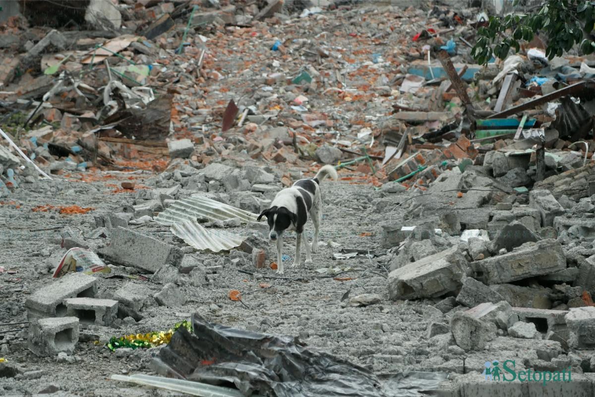 Shankhamul-Demolition-08.jpeg