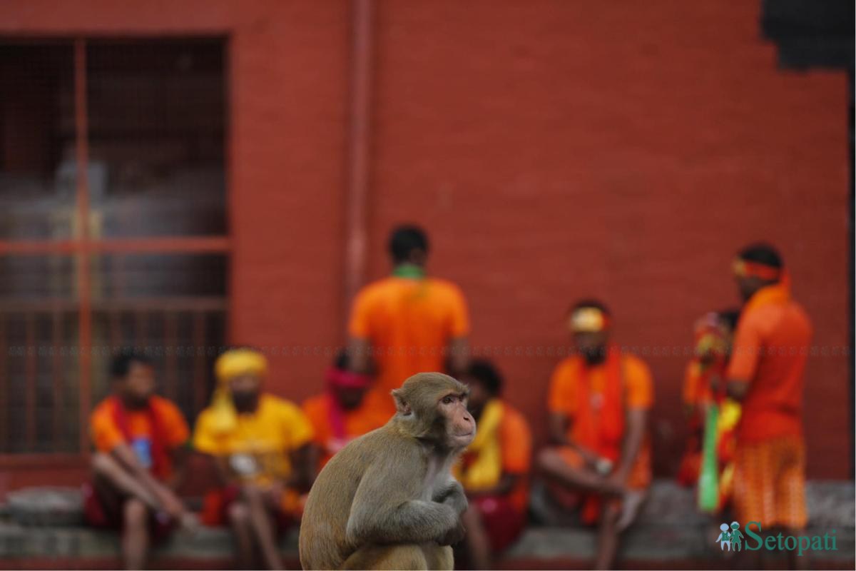 Shrawan-Last-Monday-Pashupati-05.jpeg