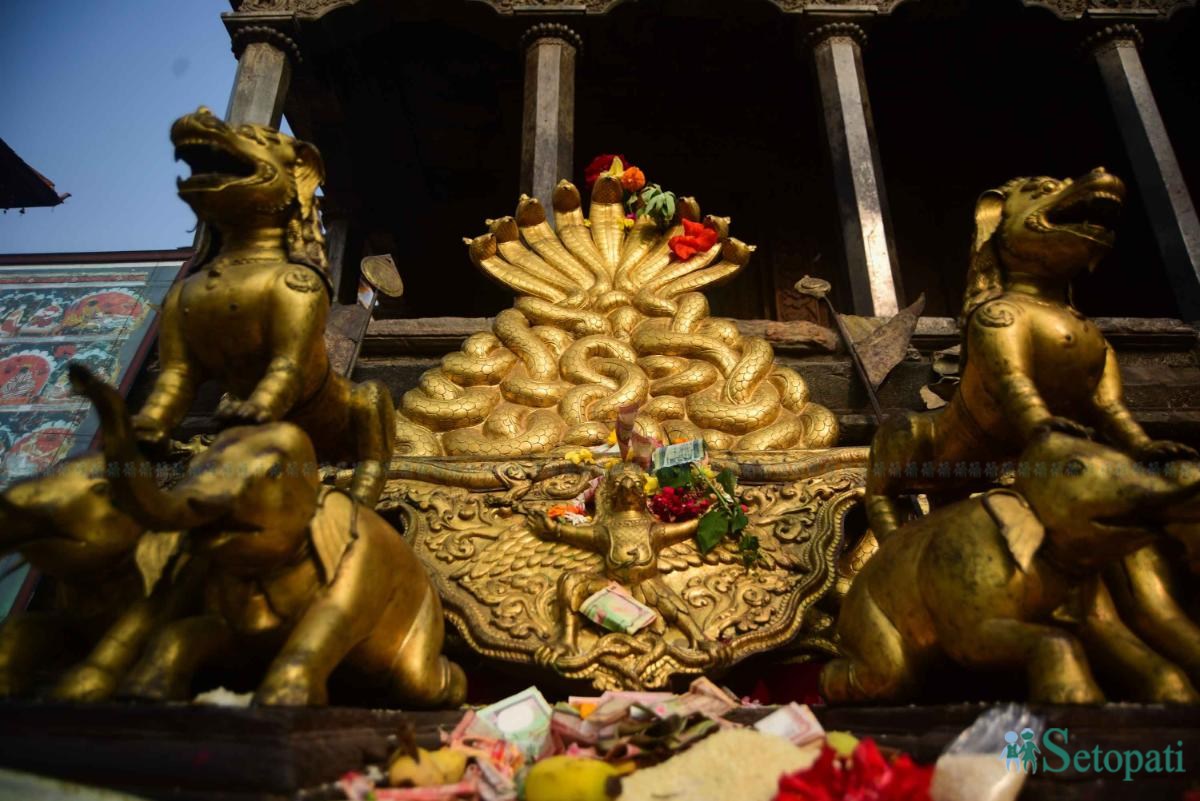 Srinivas-Malla-Throne-03.jpeg