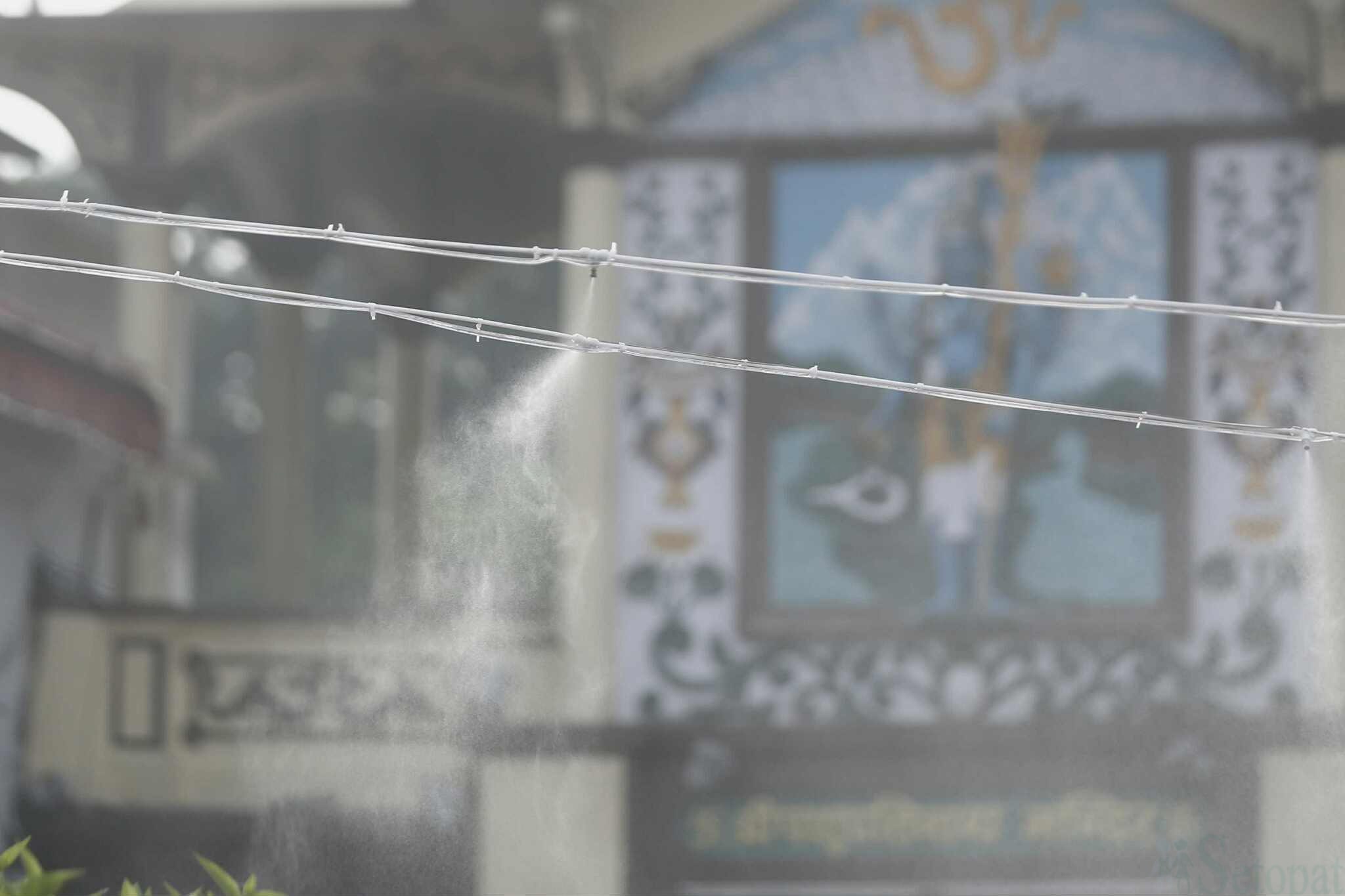 Teej-Pashupati-32.jpeg