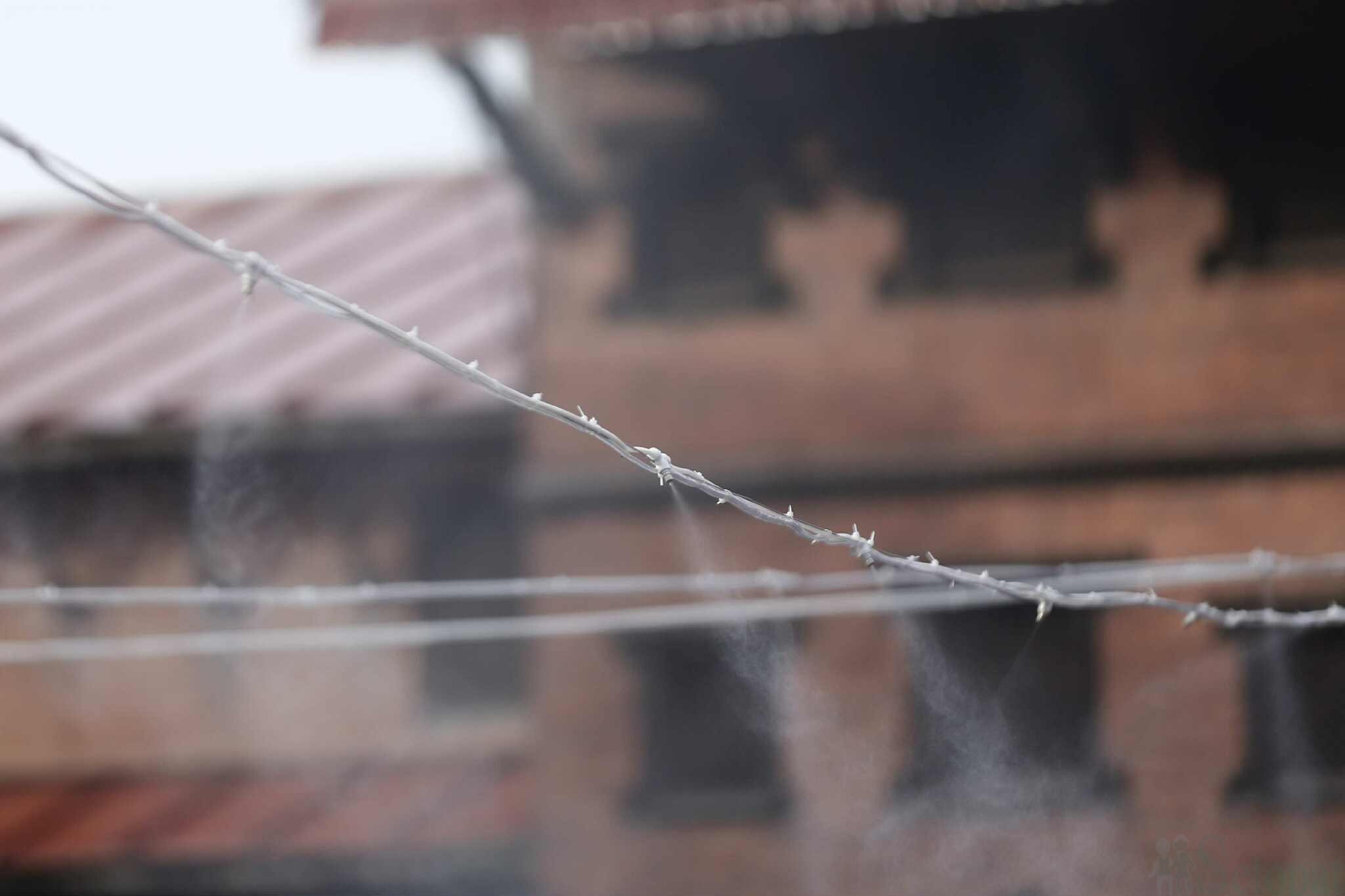 Teej-Pashupati-34.jpeg