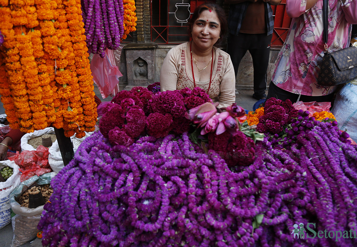 Tihar-Shopping-16.jpg