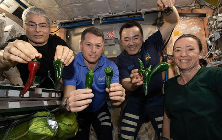 This photo provided by NASA, Astronauts, from left, Mark Vande Hei, Shane Kimbrough, Akihiko Hoshide and Megan McArthur, pose with chile peppers grown aboard the International Space Station on Friday, Nov. 5, 2021.