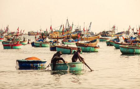 The root causes of overfishing extend well beyond the amount of boats in the water. (Serg Zhukov, Unsplash)