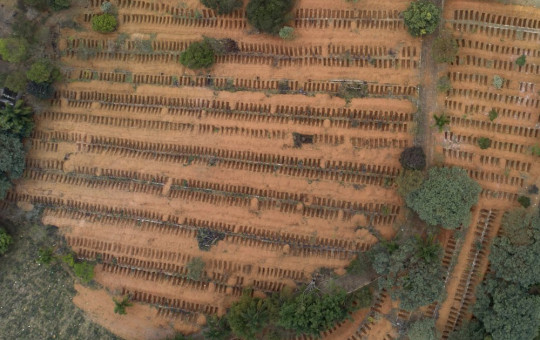 Newly dug, empty graves fill the Sao Luiz cemetery where COVID-19 victims will be buried in Sao Paulo, Brazil, Thursday, June 4, 2020.