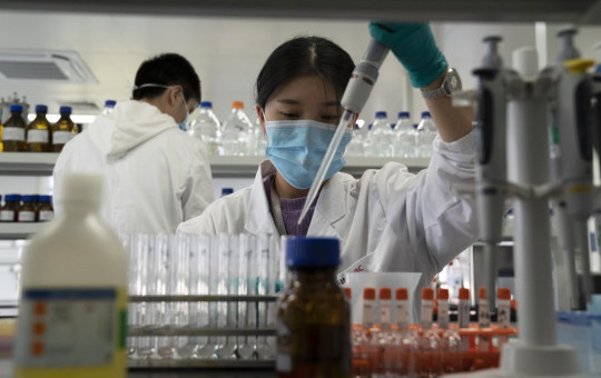 In this Sept. 24, 2020, file photo, an employee of SinoVac works in a lab at a factory producing its SARS-CoV-2 vaccine for COVID-19 named CoronaVac in Beijing.