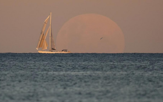 A yacht sails past as the moon rises in Sydney Wednesday, May 26, 2021.