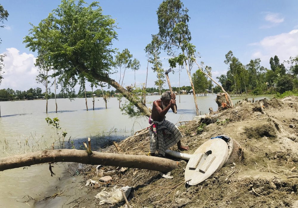 A Bangladeshi elderly person cuts an uprooted tree as the area around him is seen submerged with flooded waters in Manikganj, some 100 kilometers (62 miles) from Dhaka, Bangladesh, Thursday, 