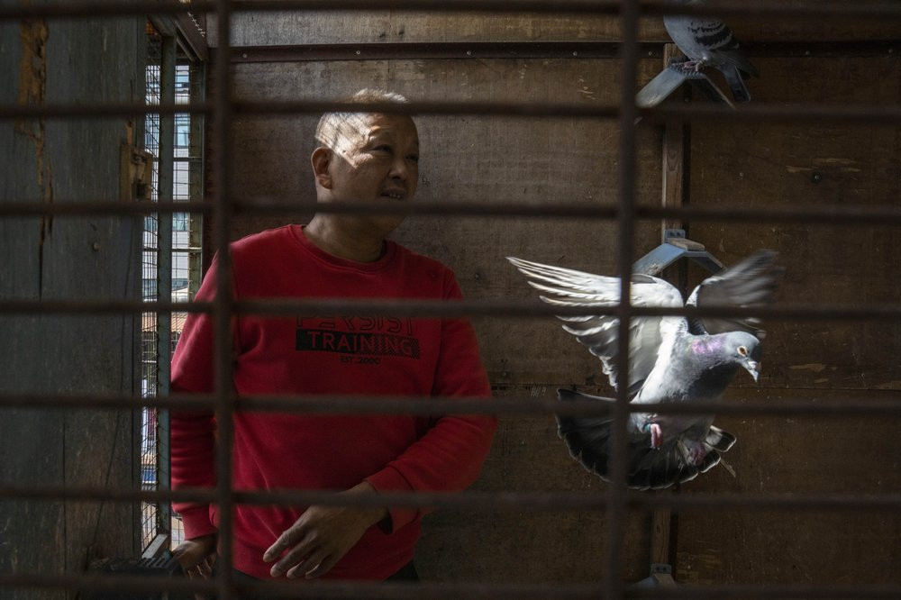 Huanan market vendor Jiang Dafa tends to his pigeons at home in Wuhan in central China's Hubei province on Oct. 22, 2020.