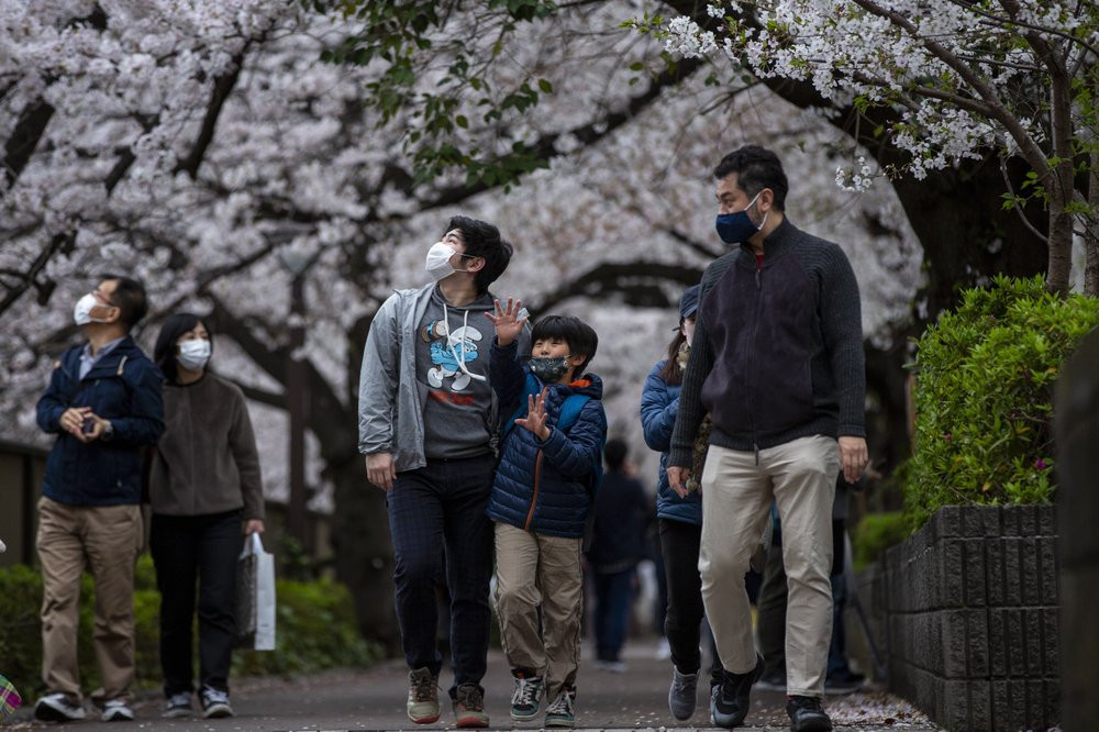 People wearing protective masks to help curb the spread of the coronavirus walk under a canopy of cherry blossoms Sunday, March 28, 2021, in Tokyo.