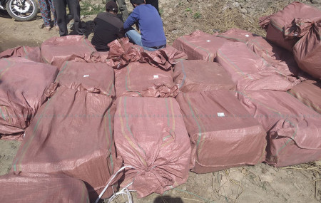 Confiscated masks to be distributed through public institutions