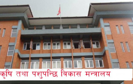 Agriculture Ministry writes to Home Ministry to punish those destroying agricultural products