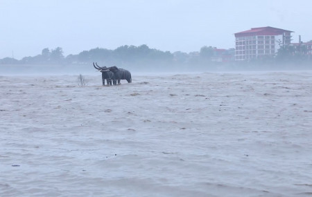 Risk of floods in rivers across Nepal