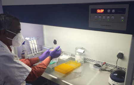 Govt instructed to provide PCR report within 24 hours