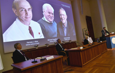 Thomas Perlmann, far right, Secretary of the Nobel Assembly announces the 2020 Nobel laureates in Physiology or Medicine during a news conference at the Karolinska Institute in Stockholm, Swe