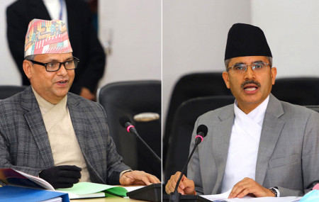 Chudal, Subedi appointed SC justices
