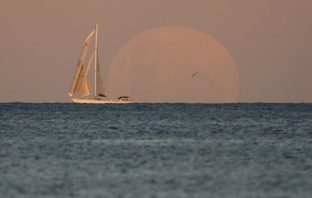 A yacht sails past as the moon rises in Sydney Wednesday, May 26, 2021.