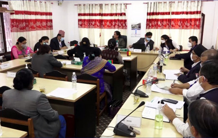 House committee instructs govt to upgrade health infrastructure and provide vaccines