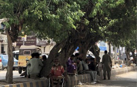 Men gathering under a street tree. (Photo courtesy of Karachi Urban Lab, 2020/ Soha Macktoom)