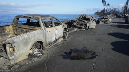 The carcass of a dog lies next to burned-out vehicles on Front Street in Lahaina, Hawaii on Friday, Aug. 11, 2023.  AP/RSS Photo
