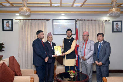 File Photo of Inquiry Commission handing over report to Home Minister